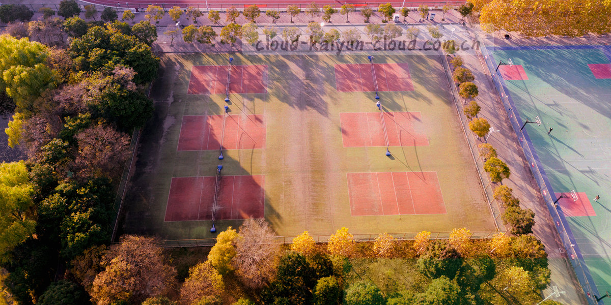 纸白背景上由细线网格、条款编号标签与蓝橙标记组成的秩序化信息图